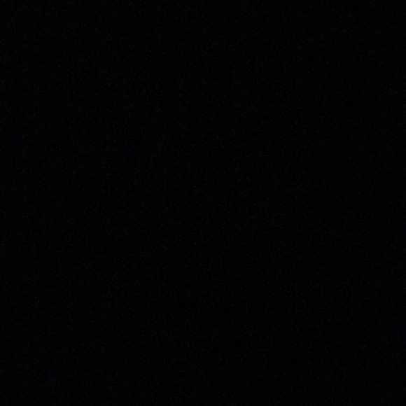 Meet your Posher, Brady - Picture 1 of 1